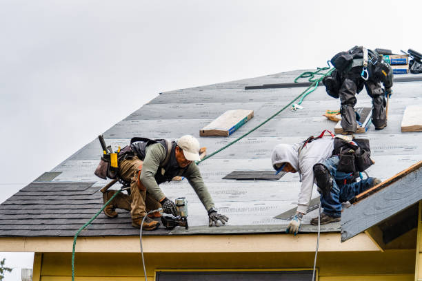 Professional Roofing technician working in Viola, IL